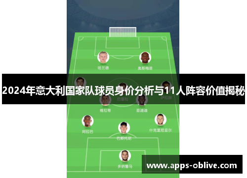 2024年意大利国家队球员身价分析与11人阵容价值揭秘