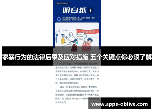 家暴行为的法律后果及应对措施 五个关键点你必须了解